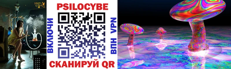Псилоцибиновые грибы мухоморы  наркота  Починок 